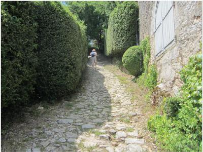 Château de Castelnaud