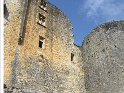 Château de Castelnaud