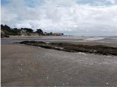 Sentier du bord de mer entre Pornic et La Bernerie en Retz