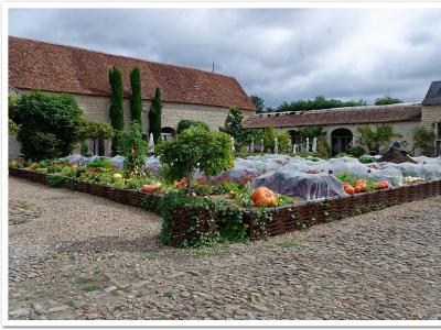 Le jardin potager de l'entrée: dominante citrouille !
