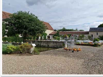 La foire à la citrouille