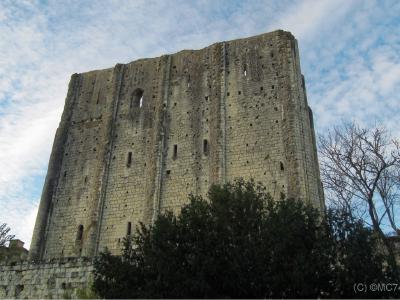 Le donjon édifié par Foulques Nerra 
