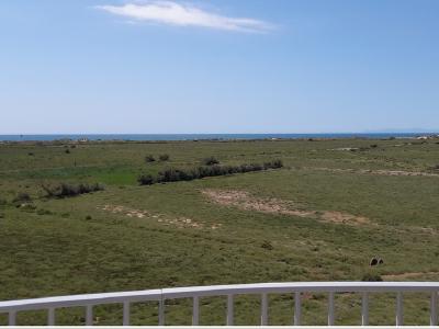 Depuis la tour d'observation