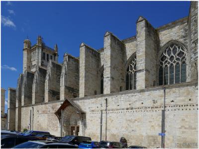 La cathédrale Saint Pierre