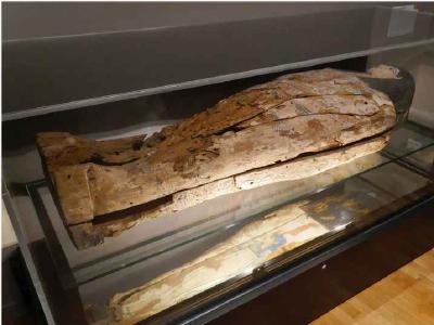 Musée des Amériques