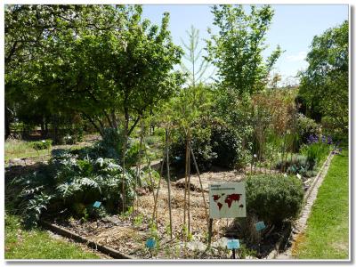 Jardin des Temps Modernes