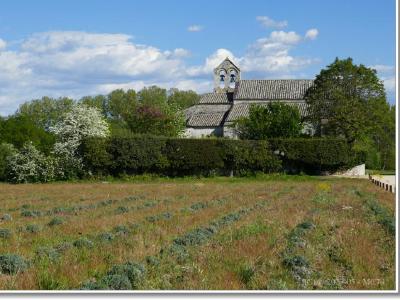 Le prieuré depuis le champ de lavande