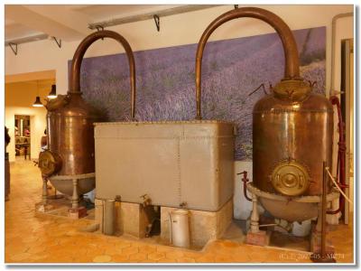 Parfumerie Fragonard