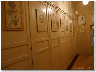 Le dressing':' une porte par jour !