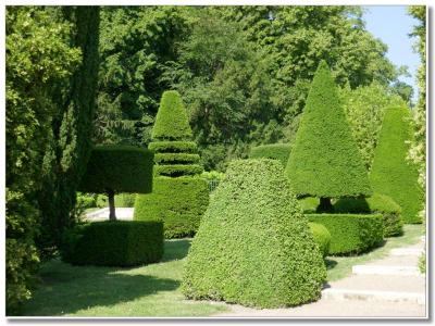 Pièces de jeu d'échec en topiaire.