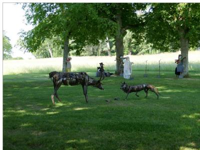 Animations dans le parc.