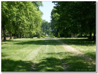 Allée vers la fontaine.