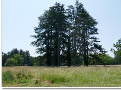 Ils nous survivront....