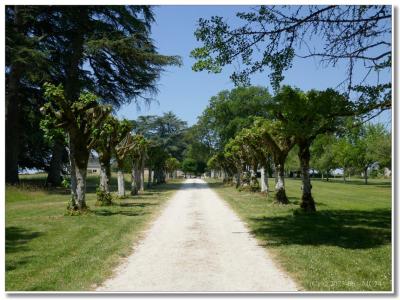 Retour vers le château.