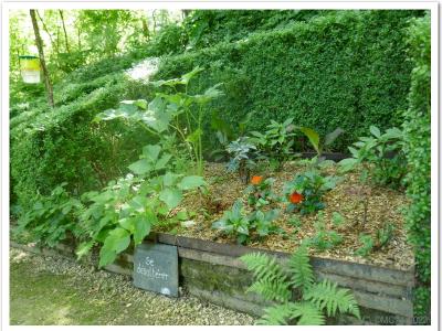 Simples pour se désaltérer