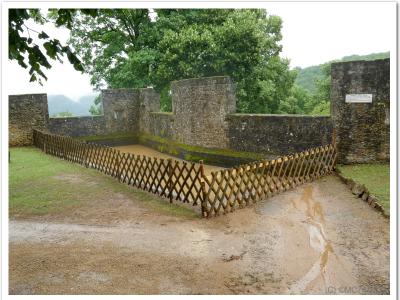 Bassin pour nettoyer les sabots des chevaux