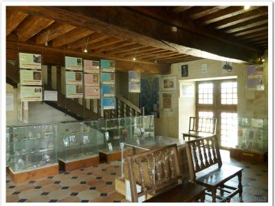 Musée de la préhistoire