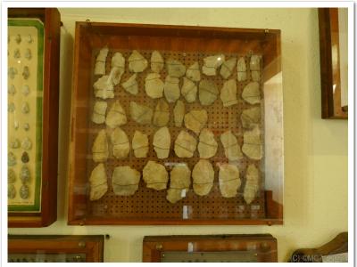 Musée de la préhistoire