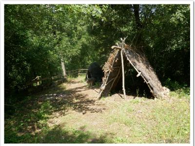Reconstitutions d'habitats préhistoriques