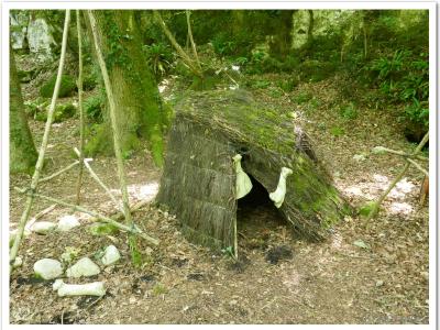 Reconstitutions d'habitats préhistoriques