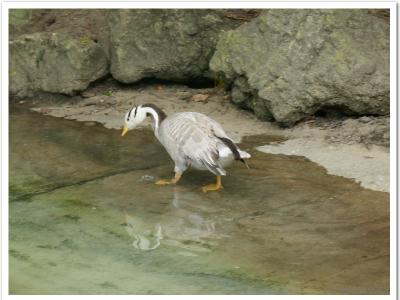 gallery/P_10_20230617_131121 .jpg