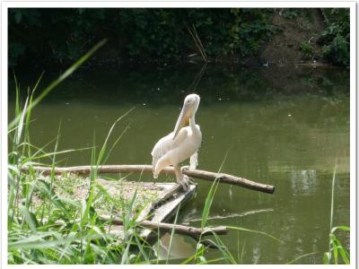 gallery/P_11_20230617_122856 .jpg