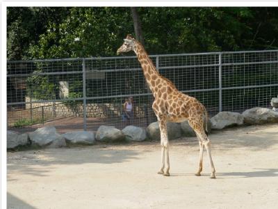 gallery/P_13_20230617_103000 .jpg