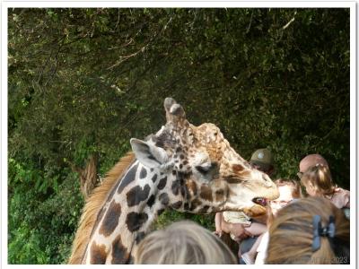 gallery/P_14_20230617_103016 .jpg