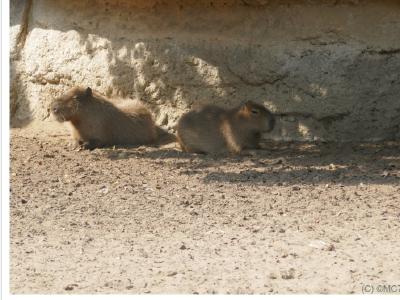 gallery/P_15_20230617_104329 .jpg