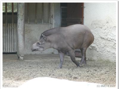 gallery/P_16_20230617_104239 .jpg