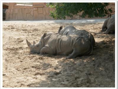 gallery/P_17_20230617_114723 .jpg