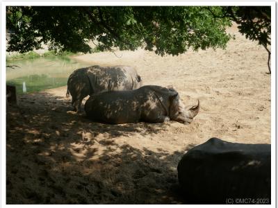 gallery/P_18_20230617_113929 .jpg