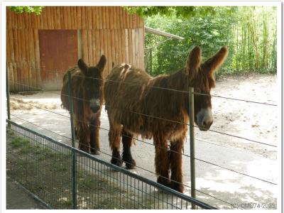 gallery/P_19_20230617_120151 .jpg