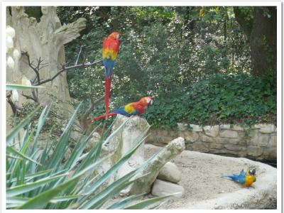 gallery/P_1_20230617_102400 .jpg