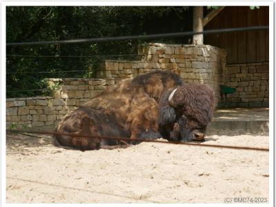 gallery/P_20_20230617_120314 .jpg