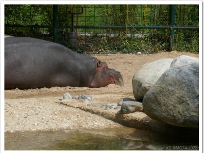 gallery/P_21_20230617_120609 .jpg