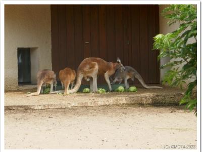 gallery/P_22_20230617_120758 .jpg