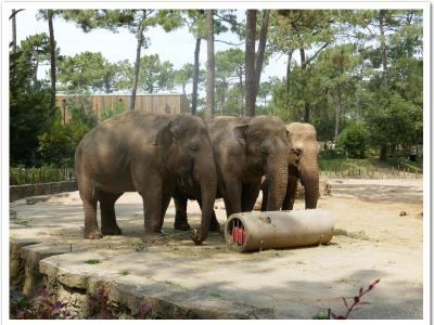 gallery/P_23_20230617_121935 .jpg