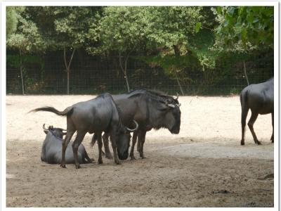 gallery/P_25_20230617_122618 .jpg