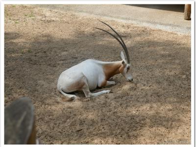 gallery/P_26_20230617_110026 .jpg