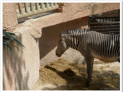 gallery/P_28_20230617_114305 .jpg