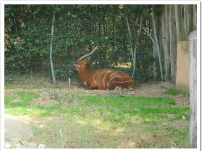 gallery/P_29_20230617_105900 .jpg