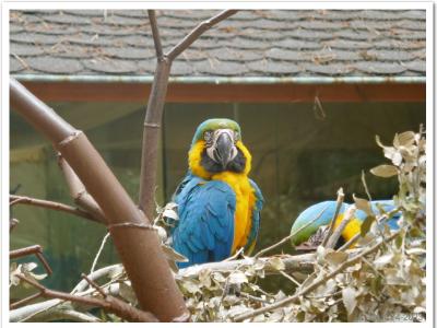 gallery/P_2_20230617_132540 .jpg