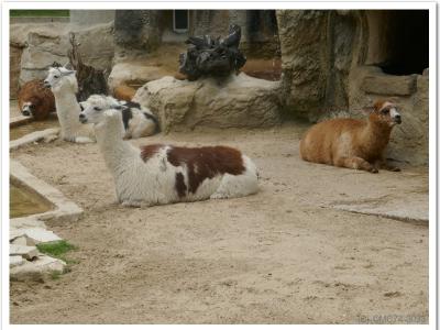 gallery/P_31_20230617_133006 .jpg