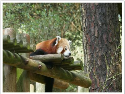 gallery/P_32_20230617_110624 .jpg