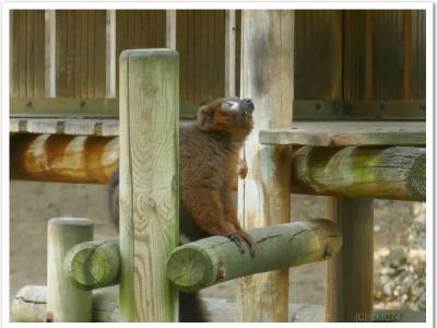 gallery/P_33_20230617_112337 .jpg