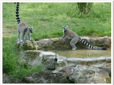 gallery/P_34_20230617_104820 .jpg