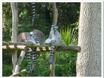 gallery/P_35_20230617_115504 .jpg