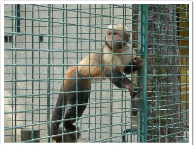 gallery/P_36_20230617_110357 .jpg