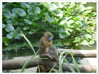 gallery/P_37_20230617_113641 .jpg